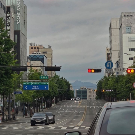 피드 이미지