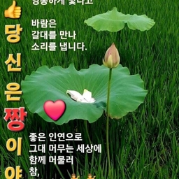 피드에 업로드 된 이미지