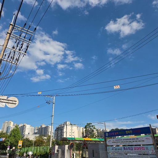 피드 이미지