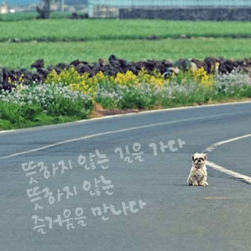 피드 이미지