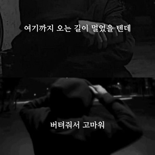 피드 이미지