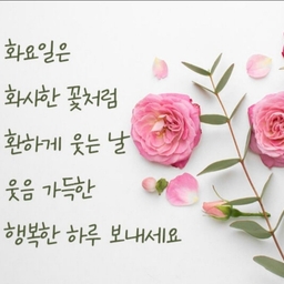피드에 업로드 된 이미지