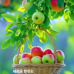 피드에 업로드 된 이미지