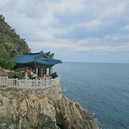 피드에 업로드 된 이미지