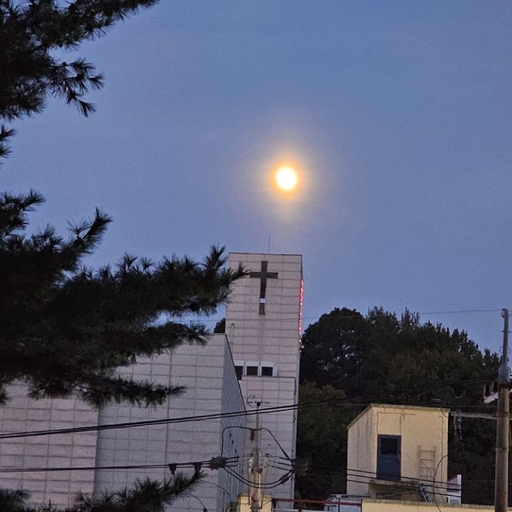 ํผ๋ ์ด๋ฏธ์ง