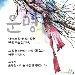 피드에 업로드 된 이미지