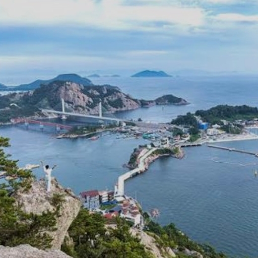피드 이미지