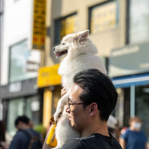 피드 이미지