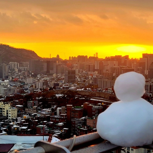 피드 이미지