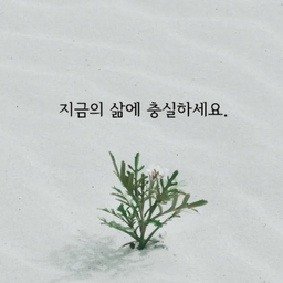 피드에 업로드 된 이미지