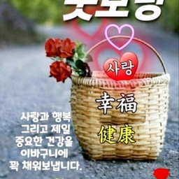 피드에 업로드 된 이미지