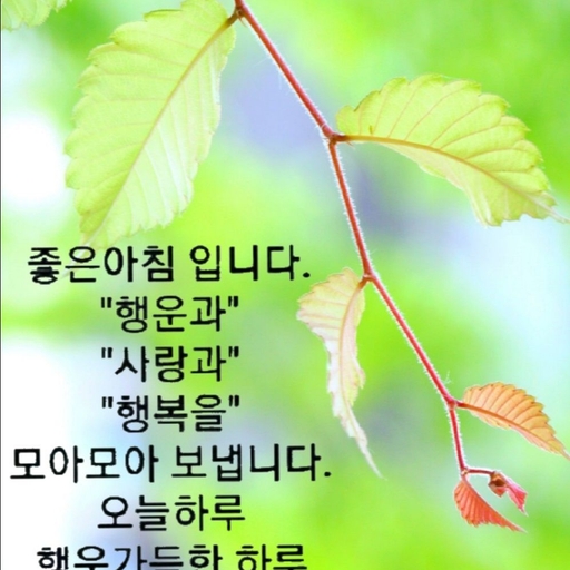 피드 이미지