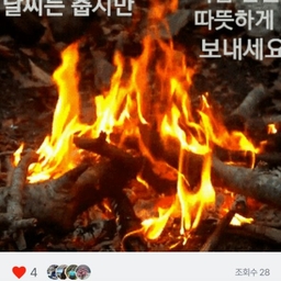 피드에 업로드 된 이미지