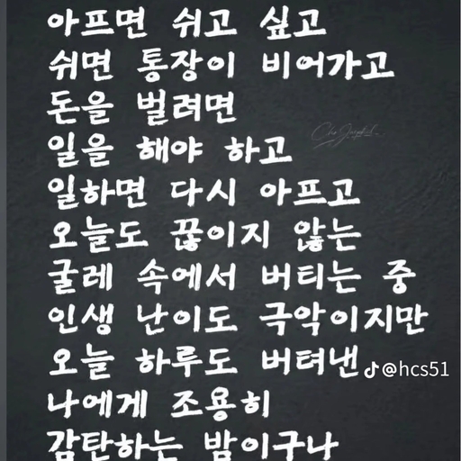 피드 이미지