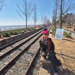 피드에 업로드 된 이미지