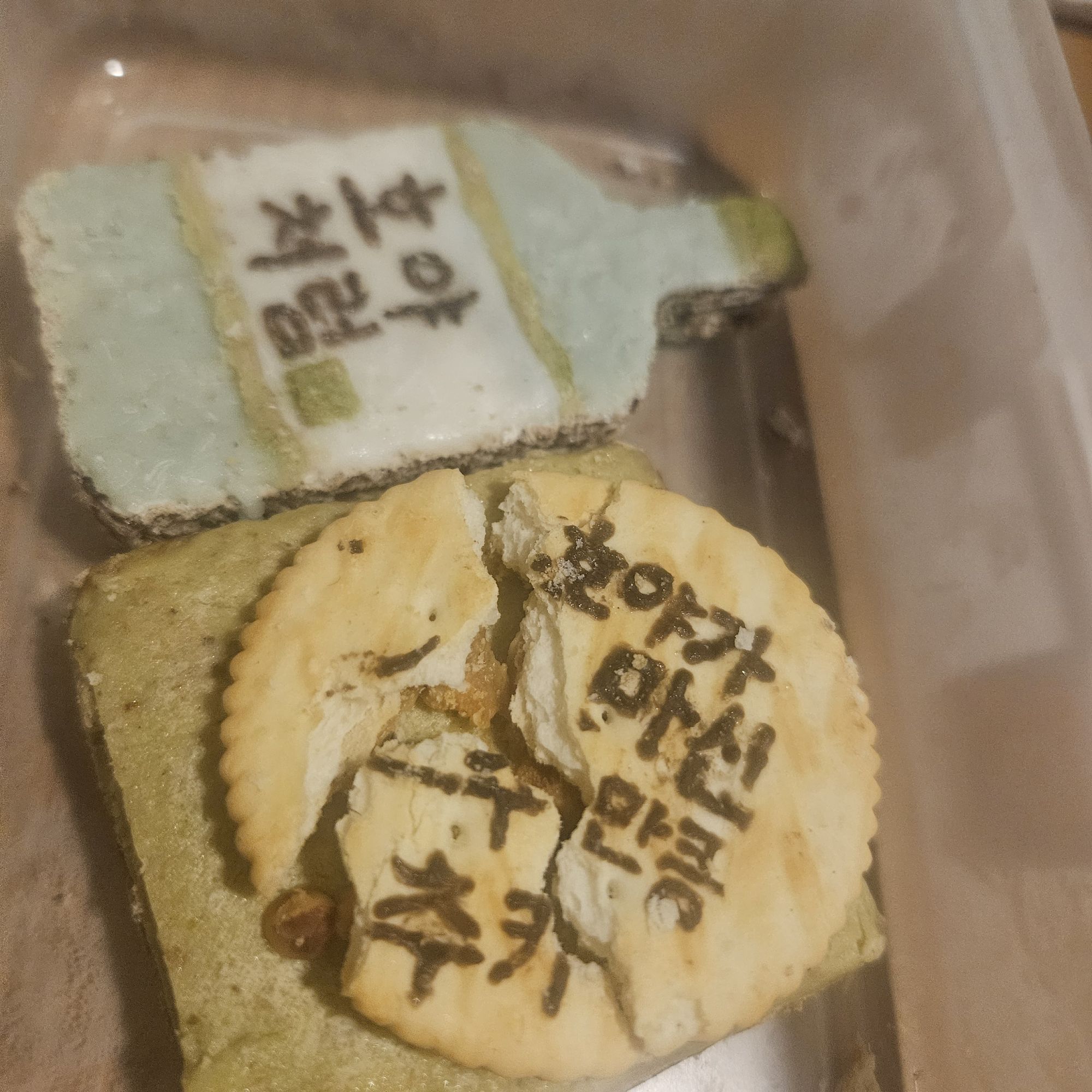 피드 이미지