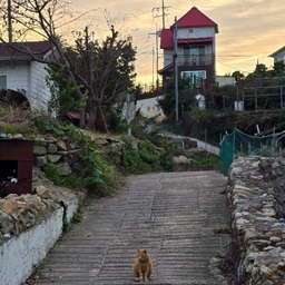 피드에 업로드 된 이미지