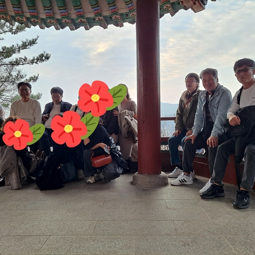 피드 이미지