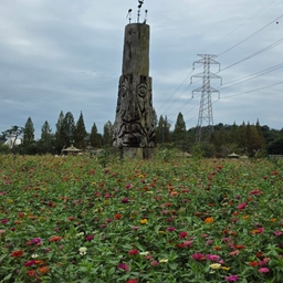 피드에 업로드 된 이미지