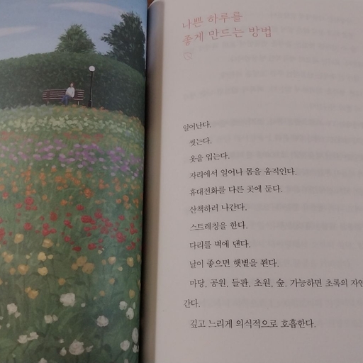 피드 이미지