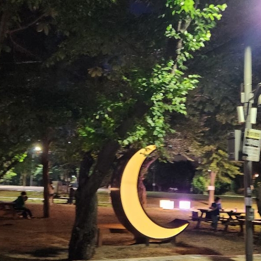 피드 이미지