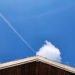 피드에 업로드 된 이미지