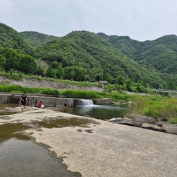 피드에 업로드 된 이미지
