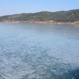 피드에 업로드 된 이미지