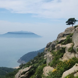 피드에 업로드 된 이미지