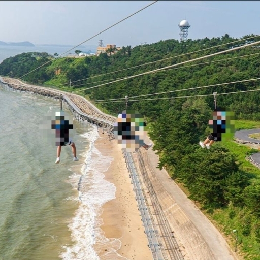 피드 이미지