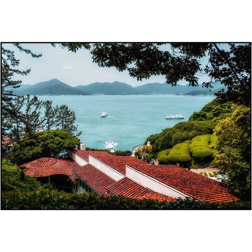 피드 이미지