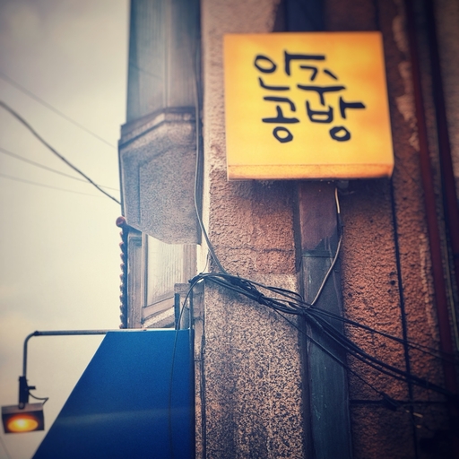 피드 이미지