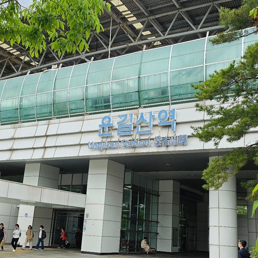 피드 이미지