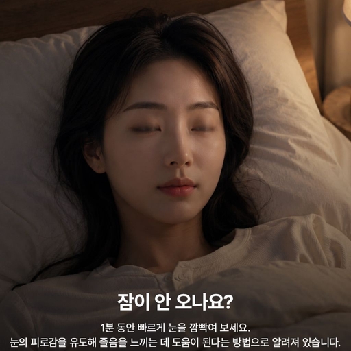 피드 이미지
