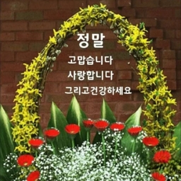 피드에 업로드 된 이미지