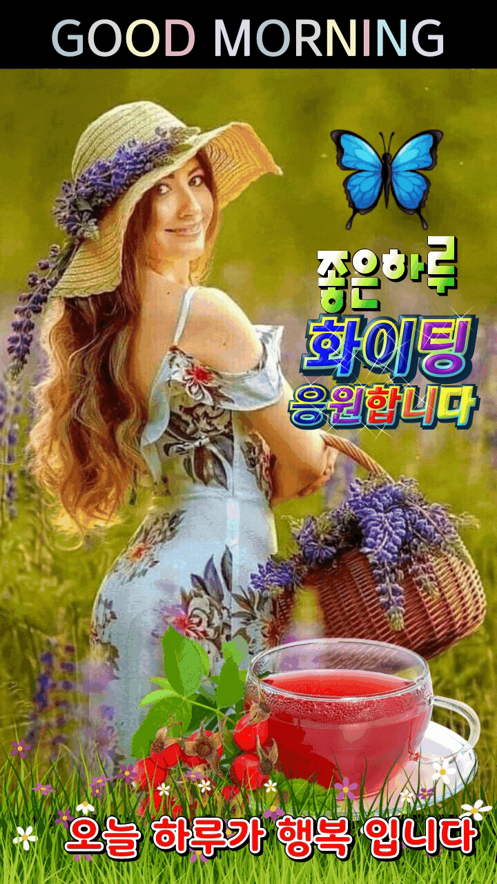 피드 이미지