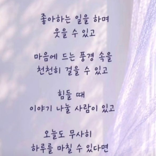 피드 이미지
