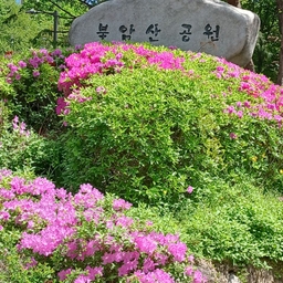 피드에 업로드 된 이미지