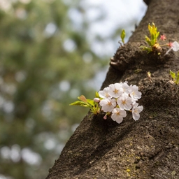 피드에 업로드 된 이미지