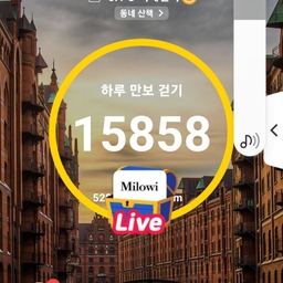 피드에 업로드 된 이미지