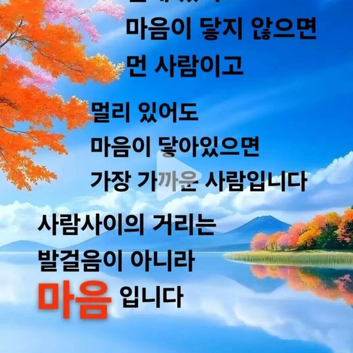 피드 이미지