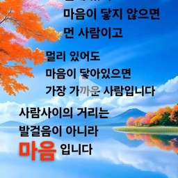 피드에 업로드 된 이미지