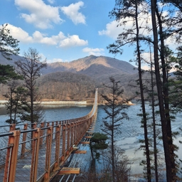 피드에 업로드 된 이미지