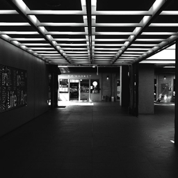 피드에 업로드 된 이미지