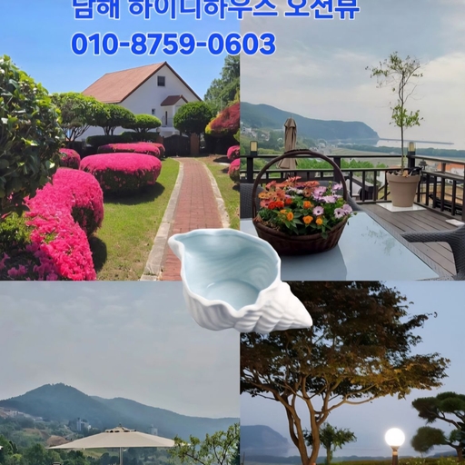 피드 이미지