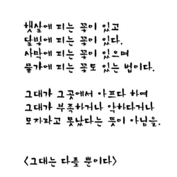 피드에 업로드 된 이미지