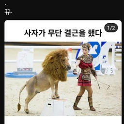 피드에 업로드 된 이미지
