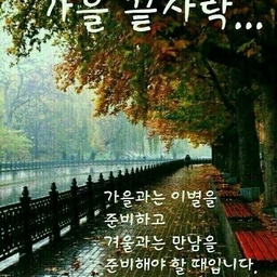 ํผ๋์ ์
๋ก๋ ๋ ์ด๋ฏธ์ง