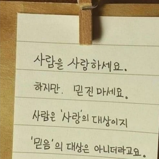 피드 이미지