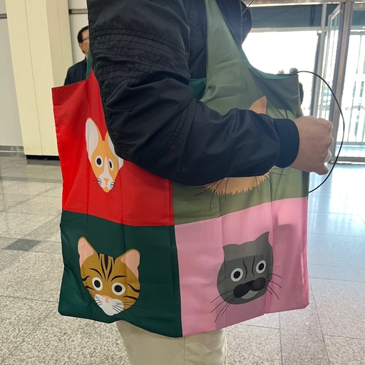 피드 이미지